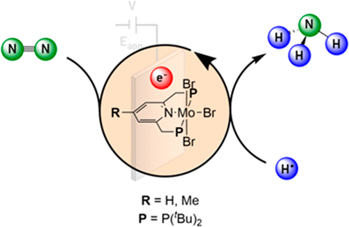 Publication Image