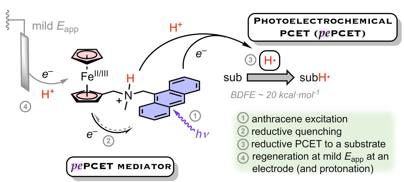 Publication Image