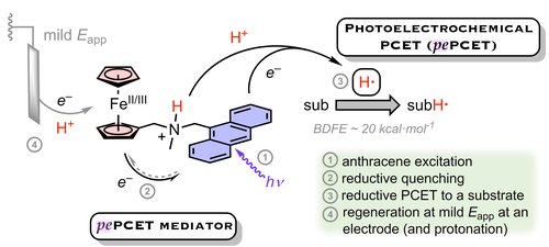 Publication Image