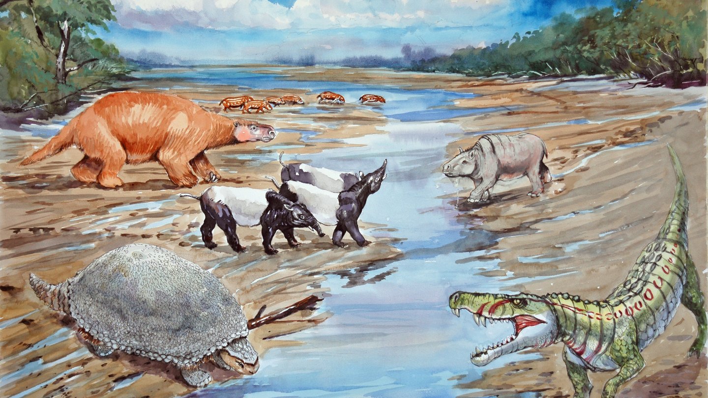 Middle Miocene of Pebas system