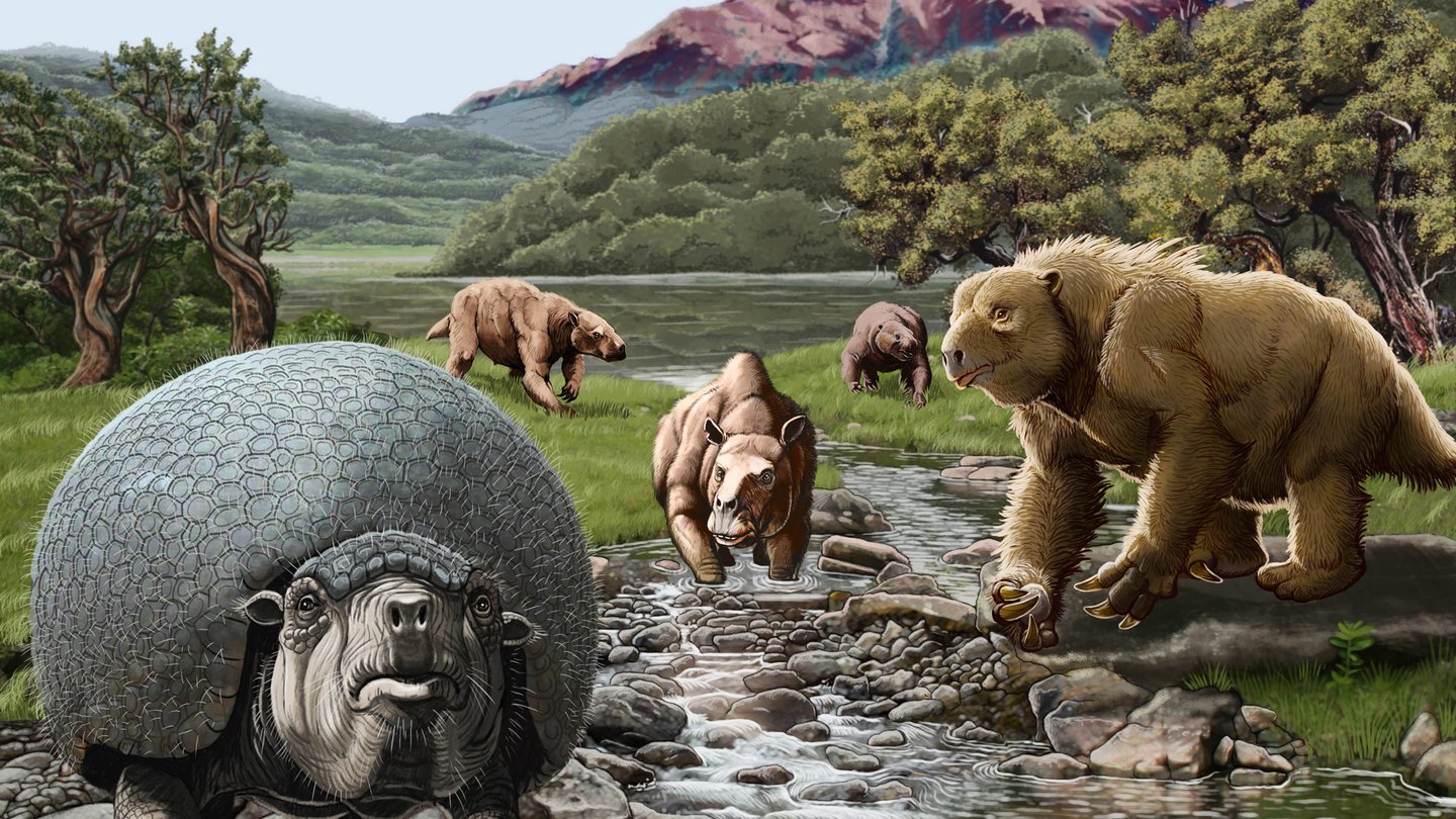 Espinar fauna, Peruvian Altiplano in the Pliocene