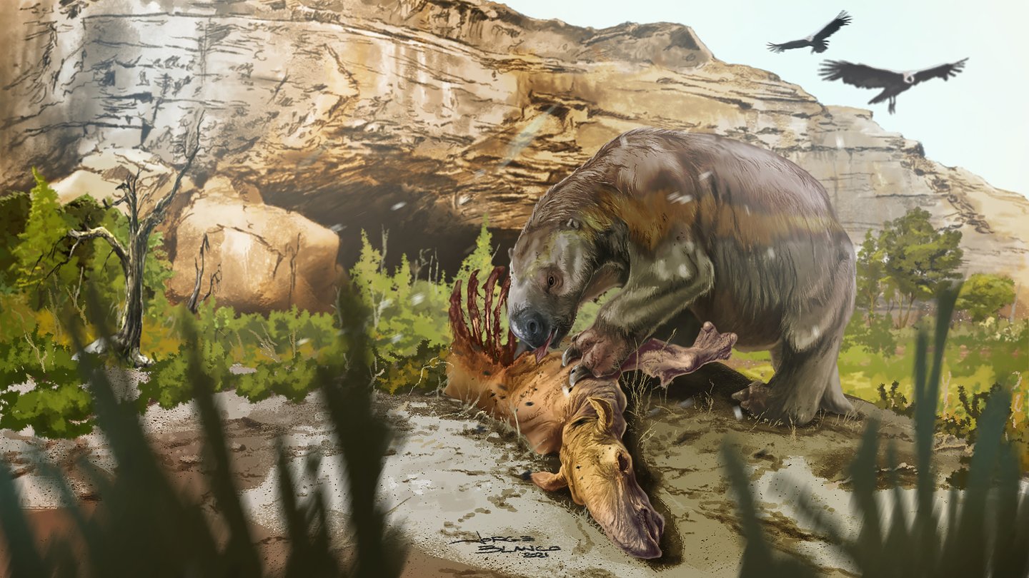 Mylodon reconstruction. Jorge Blanco
