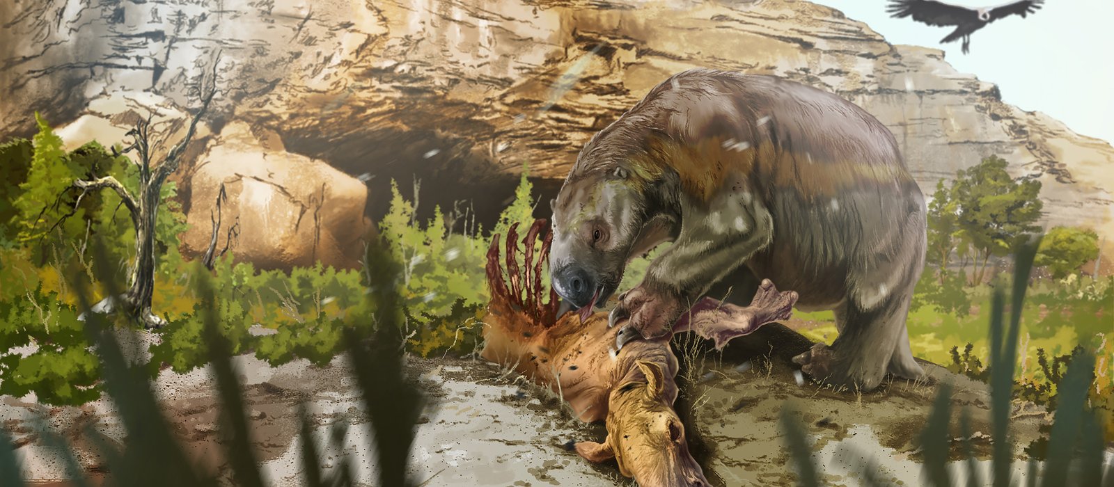 Mylodon reconstruction. Jorge Blanco