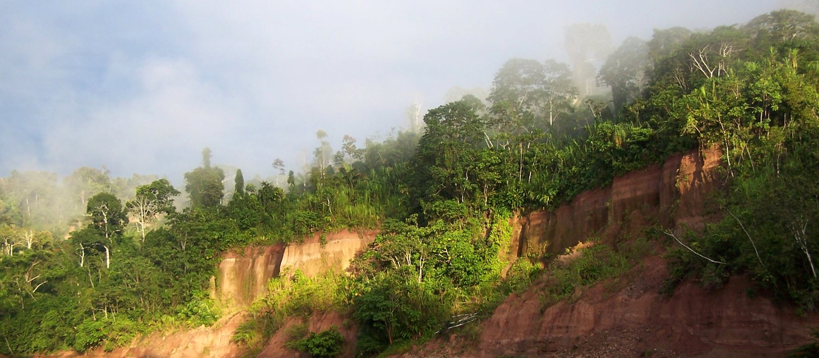 Peruvian Amazonia