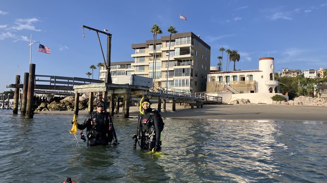 divers