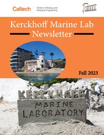 KML Fall 2023