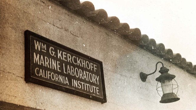 KML Sign