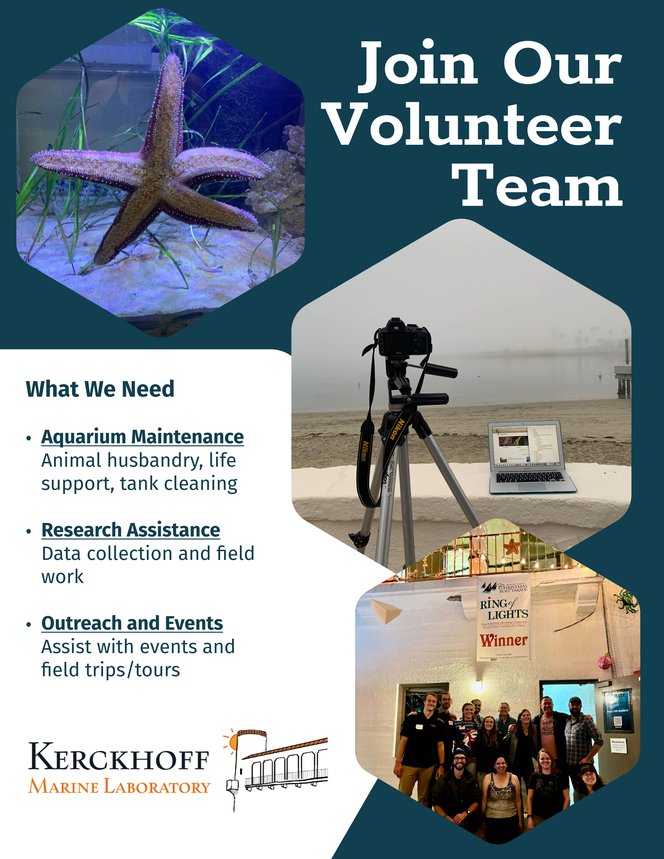 volunteer