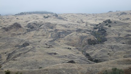 Landslides