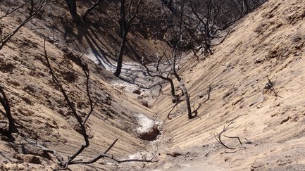 Post-wildfire sediment yield