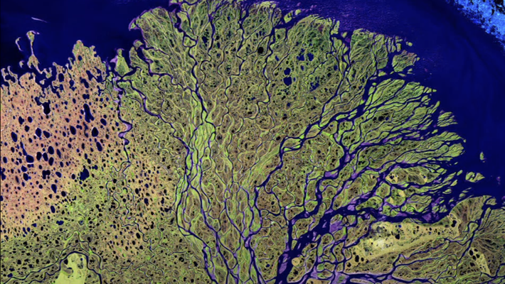 Lena Delta