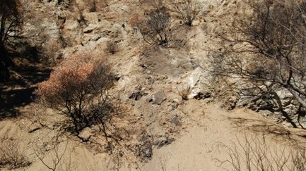 Wildfire and debris flows