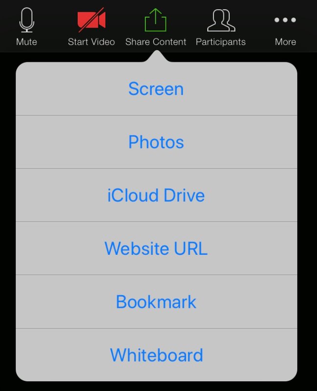Share content menu Zoom iPad