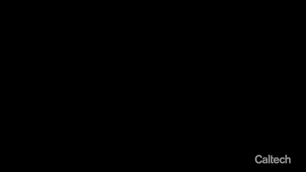 An animated gif showing a comparison between jellyfish swimming with and without the forebody cap