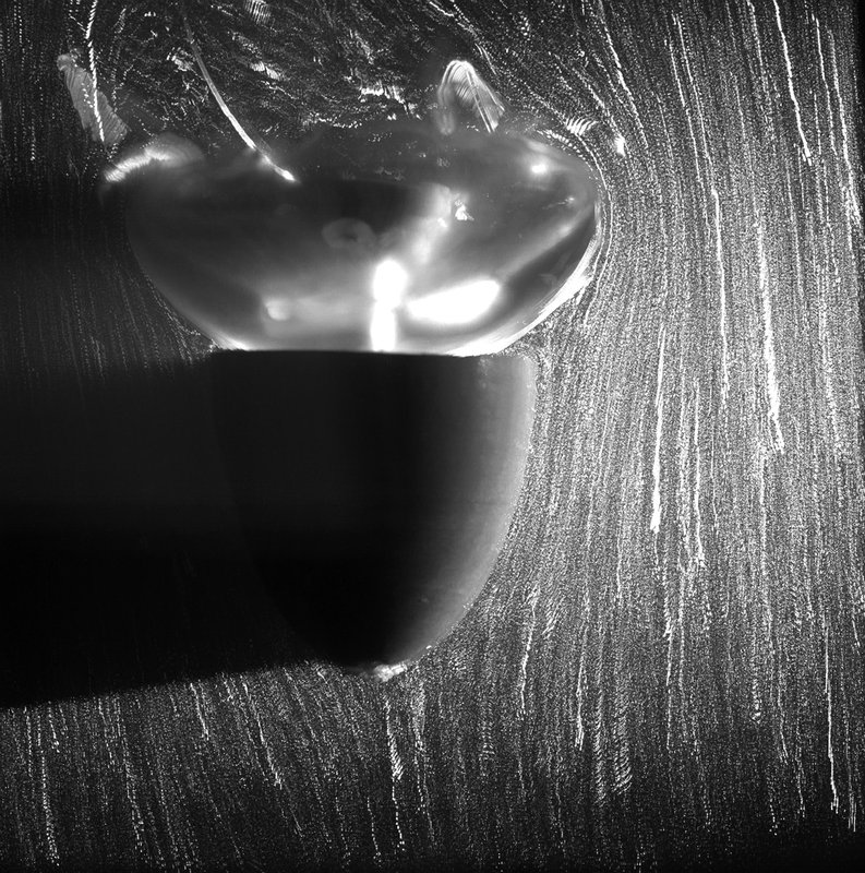 Flow visualization around the jellyfish body