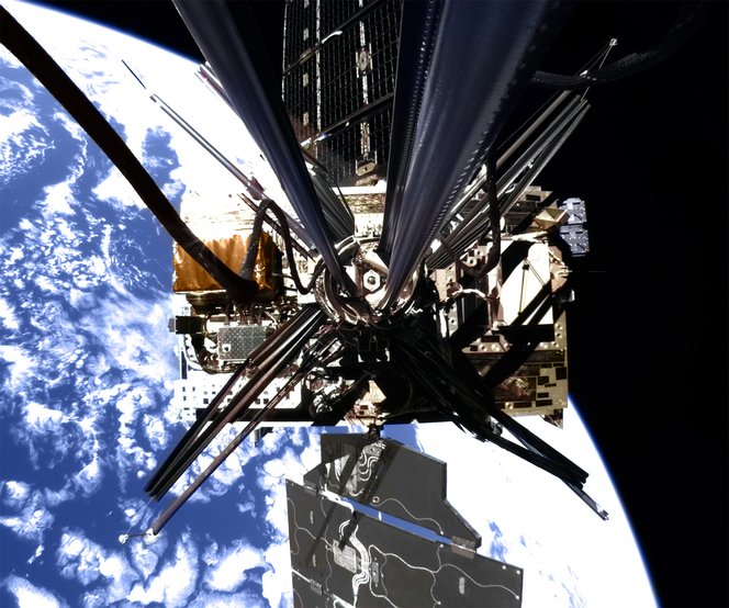 The DOLCE structure finalizing its uncoiling process in space