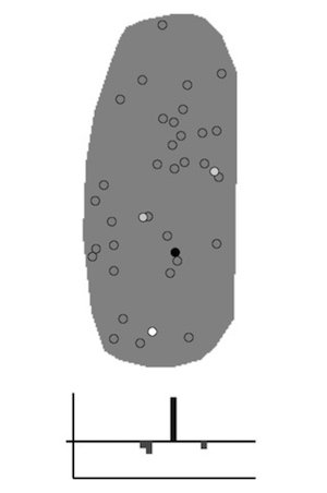 Mitral cell receptive field