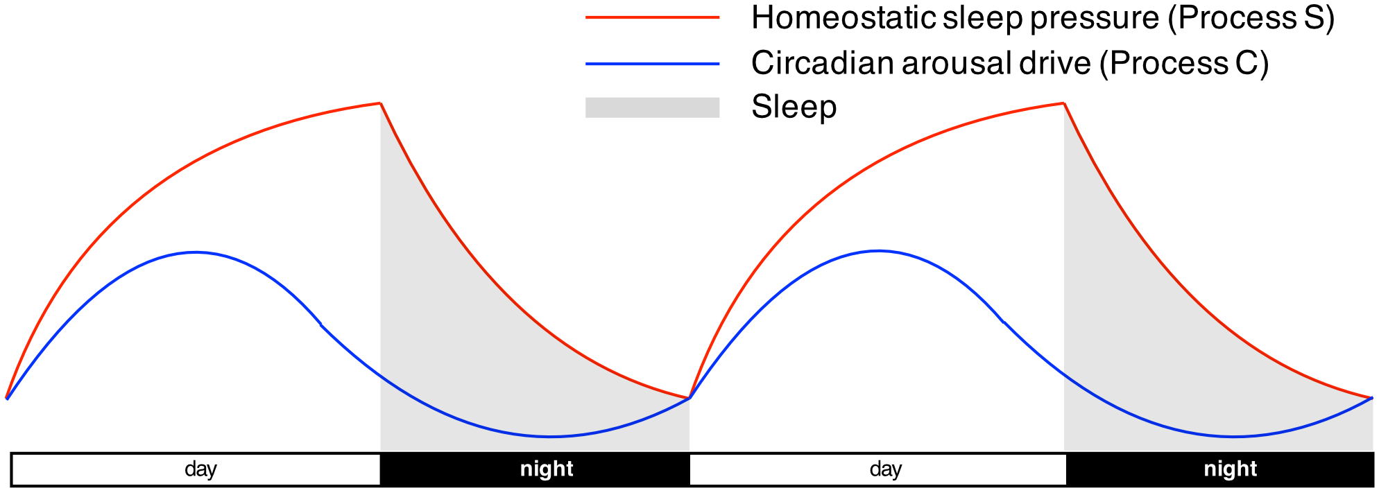 Two-process model