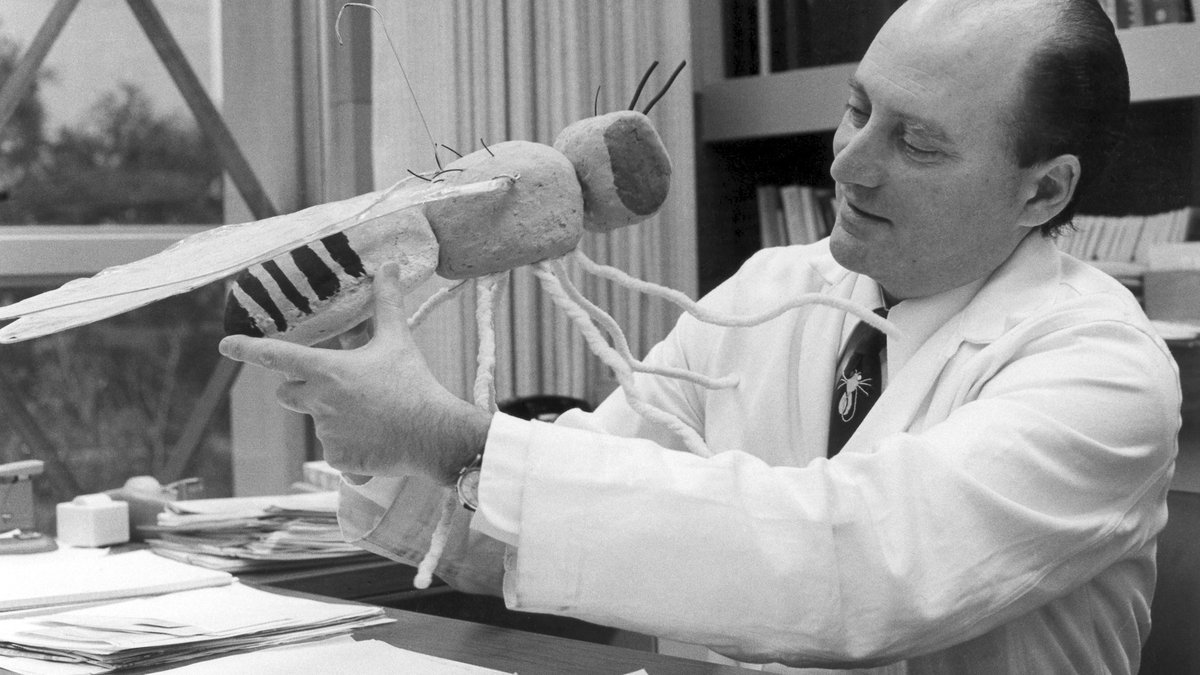 Seymour Benzer with an oversized drosophila model