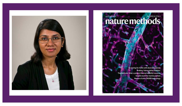 Headshot of Dr. Priya Kumar side by side with cover of Nature Methods, May 2020.