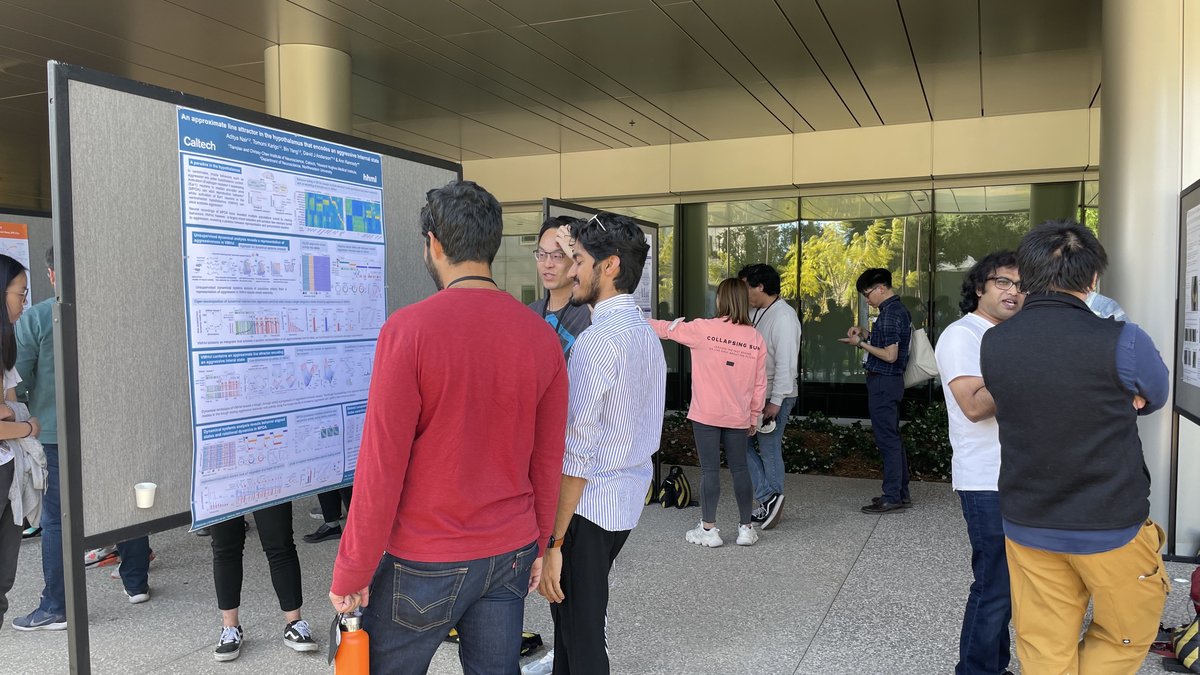 Students looking at posters on poster boards outside
