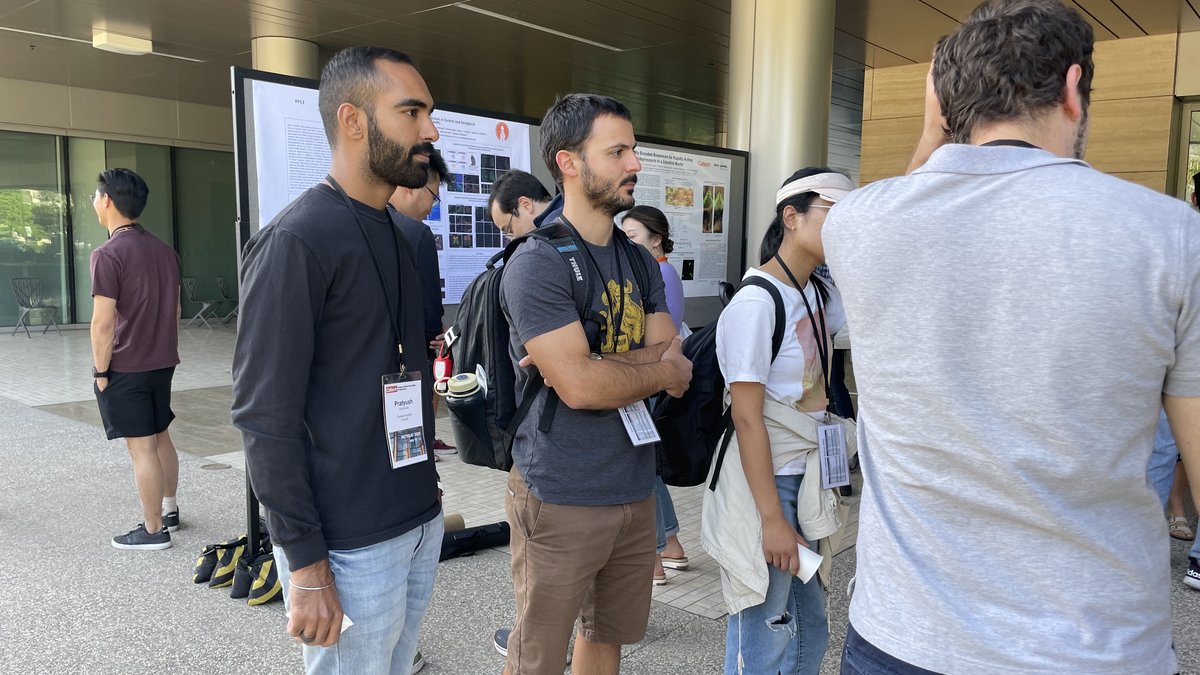 Students looking at posters on poster boards outside