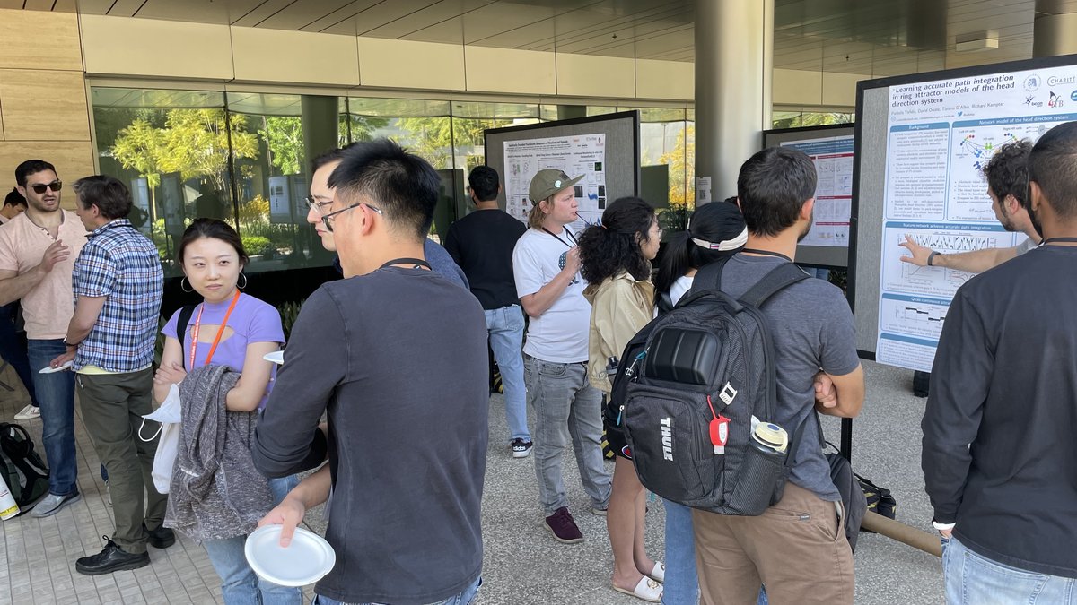 Students looking at posters on poster boards outside