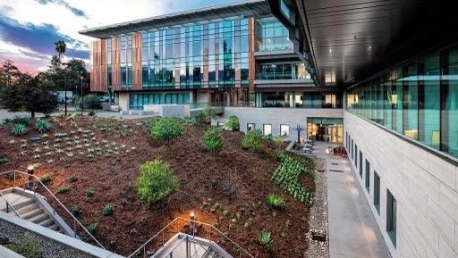 The Zen garden and north side of the Chen Neuroscience Research building in the early evening, the glass windows have a green hue. The Zen garden is planted with succulents, drought tolerant plants and young trees.