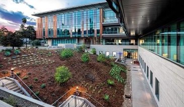 The Zen garden and north side of the Chen Neuroscience Research building in the early evening, the glass windows have a green hue. The Zen garden is planted with succulents, drought tolerant plants and young trees.