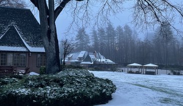 Lawn and buildings with 2 inches of snow