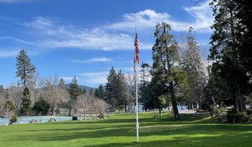Lawn and flagpole in the sunshine
