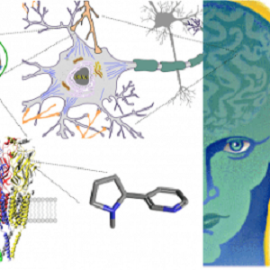drugs brain