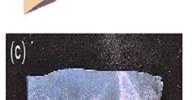 Liquid crystal elastomers 