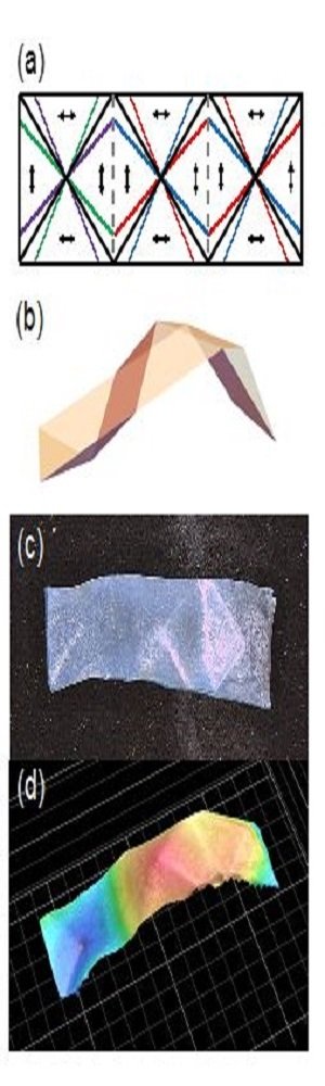 Liquid crystal elastomers 
