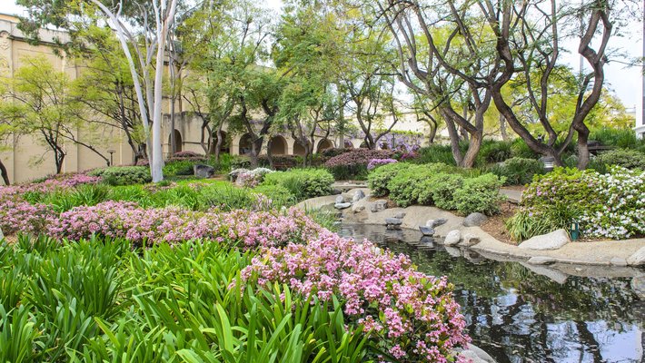 Throop Pond, Caltech