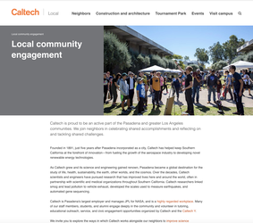 Local website homepage