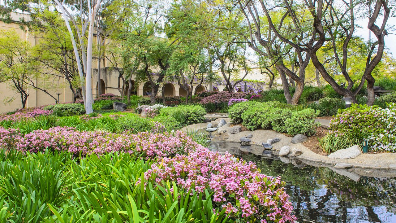 Throop Turtle Pond looking towards Linde Hall