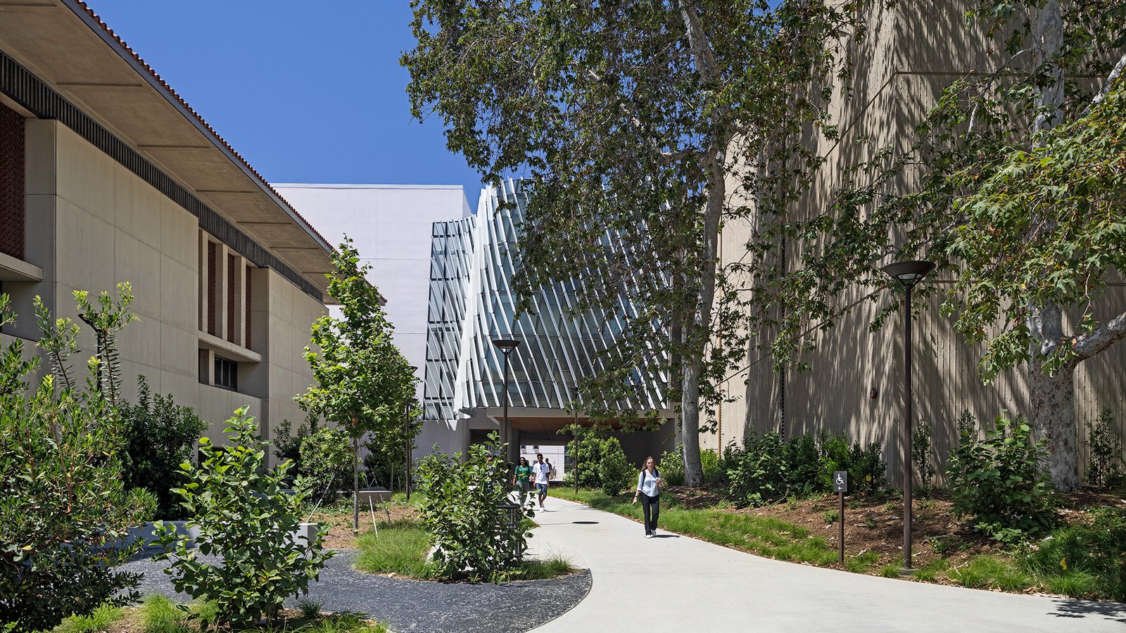 A walkway lined by trees