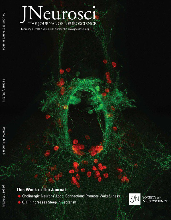 Chen-et-al-QRFP-JNeurosci-Cover.jpg