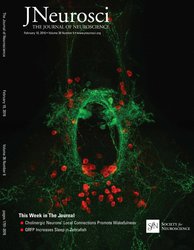 Chen-et-al-QRFP-JNeurosci-Cover.jpg
