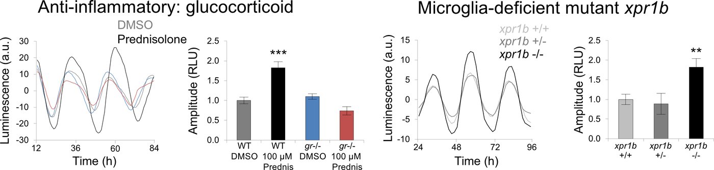 Mosser et al Fig 4