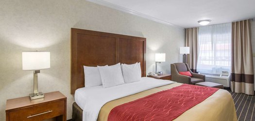 comfort inn room