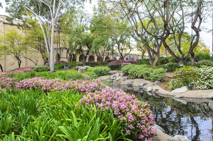 Throop Pond