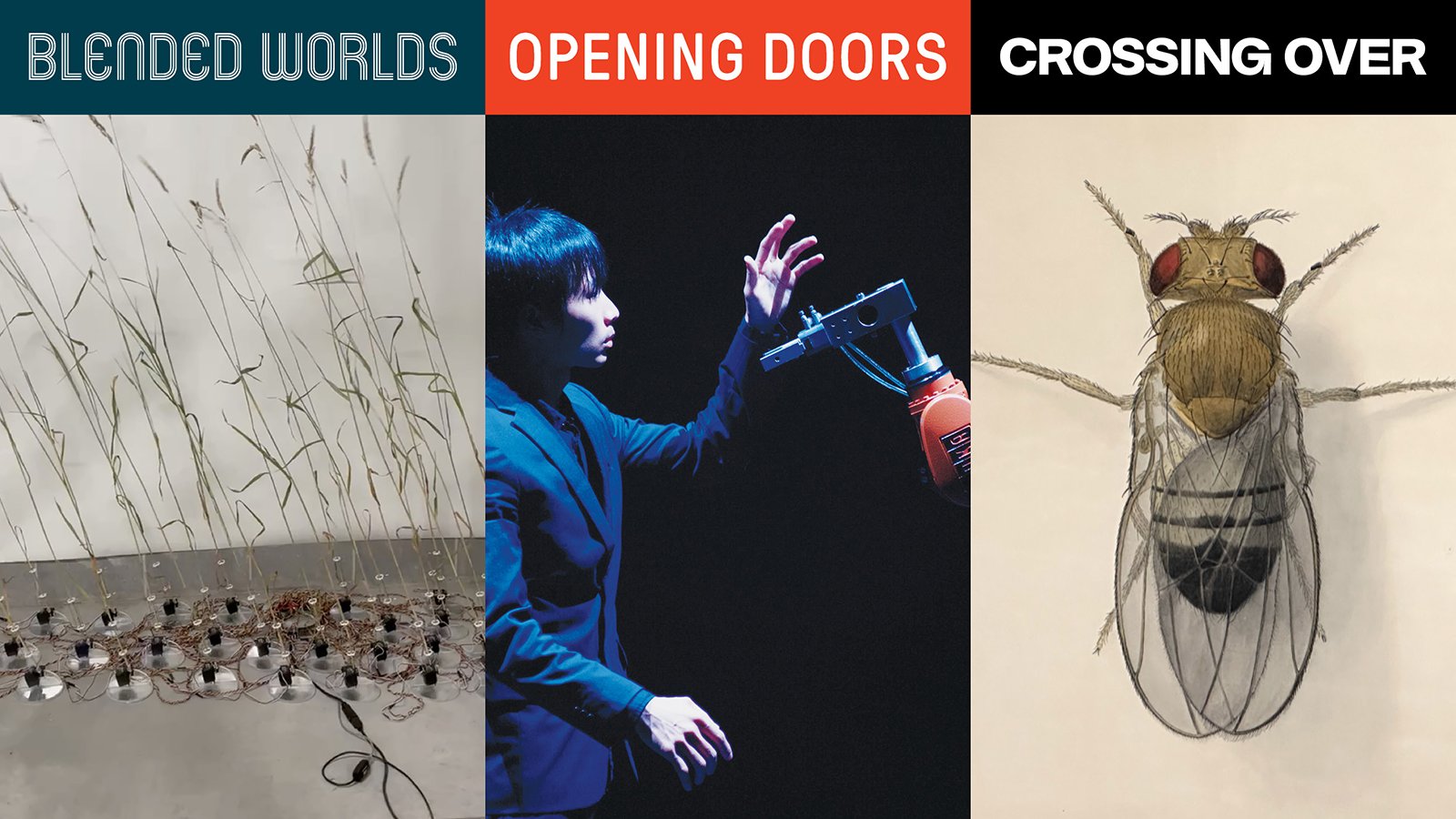 A collage of posters of PST's Caltech events