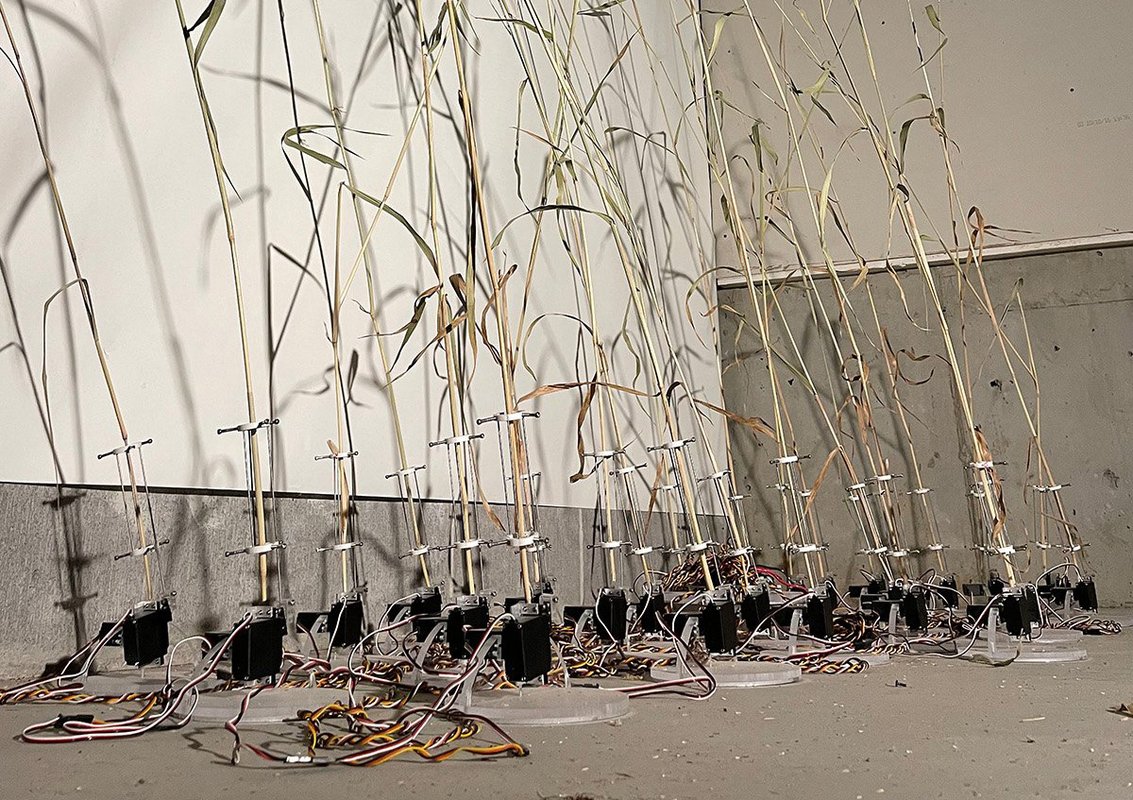 An art installation featuring plants against a white wall