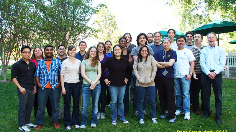 Rees Group