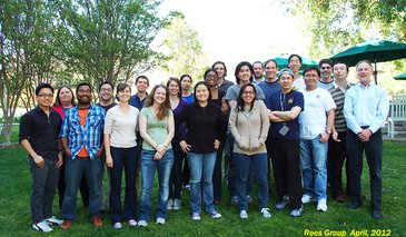 Rees Group