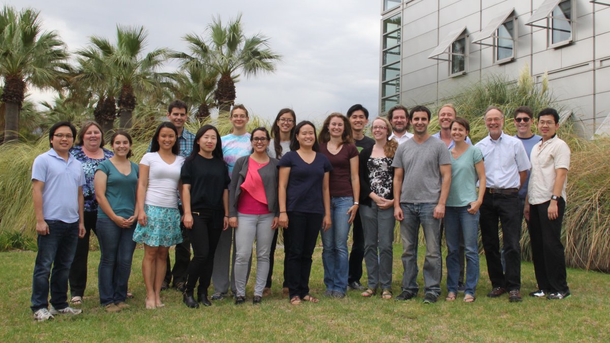 Rees Group