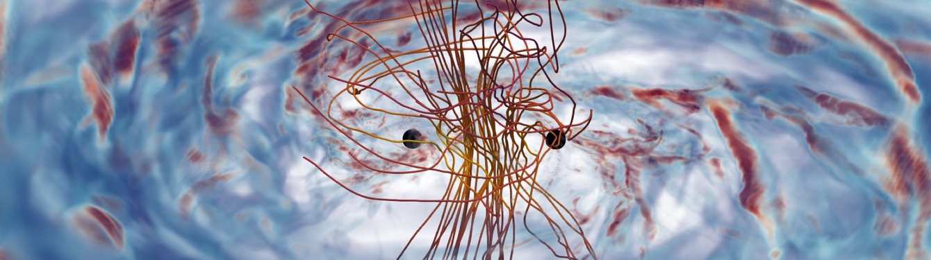 black hole binary embedded in a gaseous accretion flow