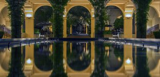 Beckman Institute Genepool Reflection